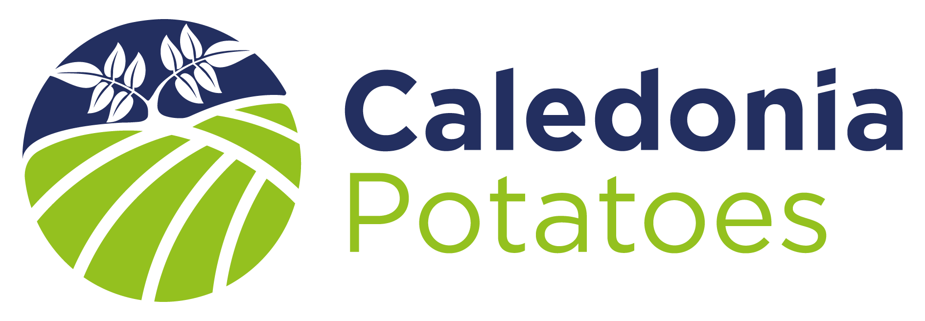 Caledonia Potatoes