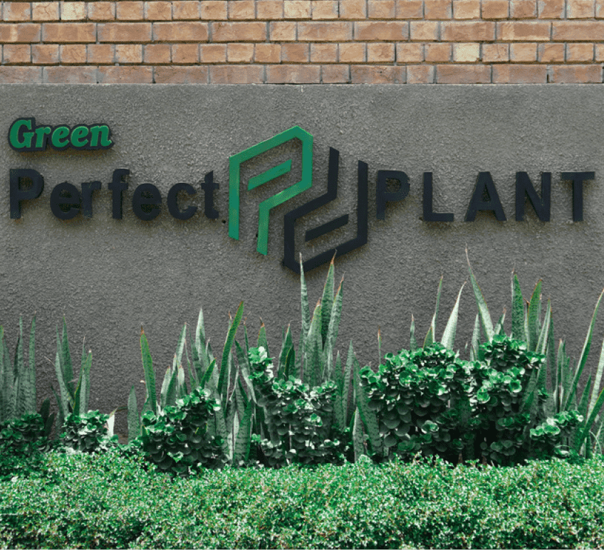 Green Perfect Plant sign and greenery